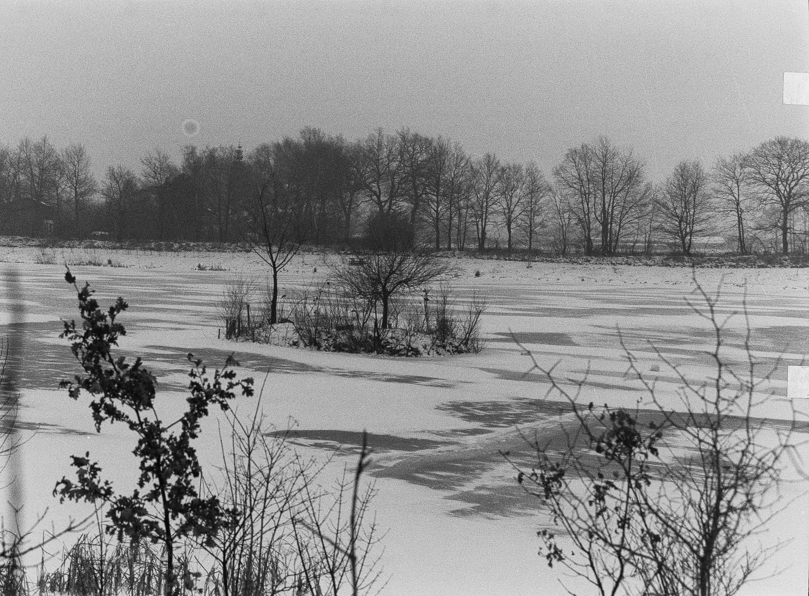 placeholder image-sq