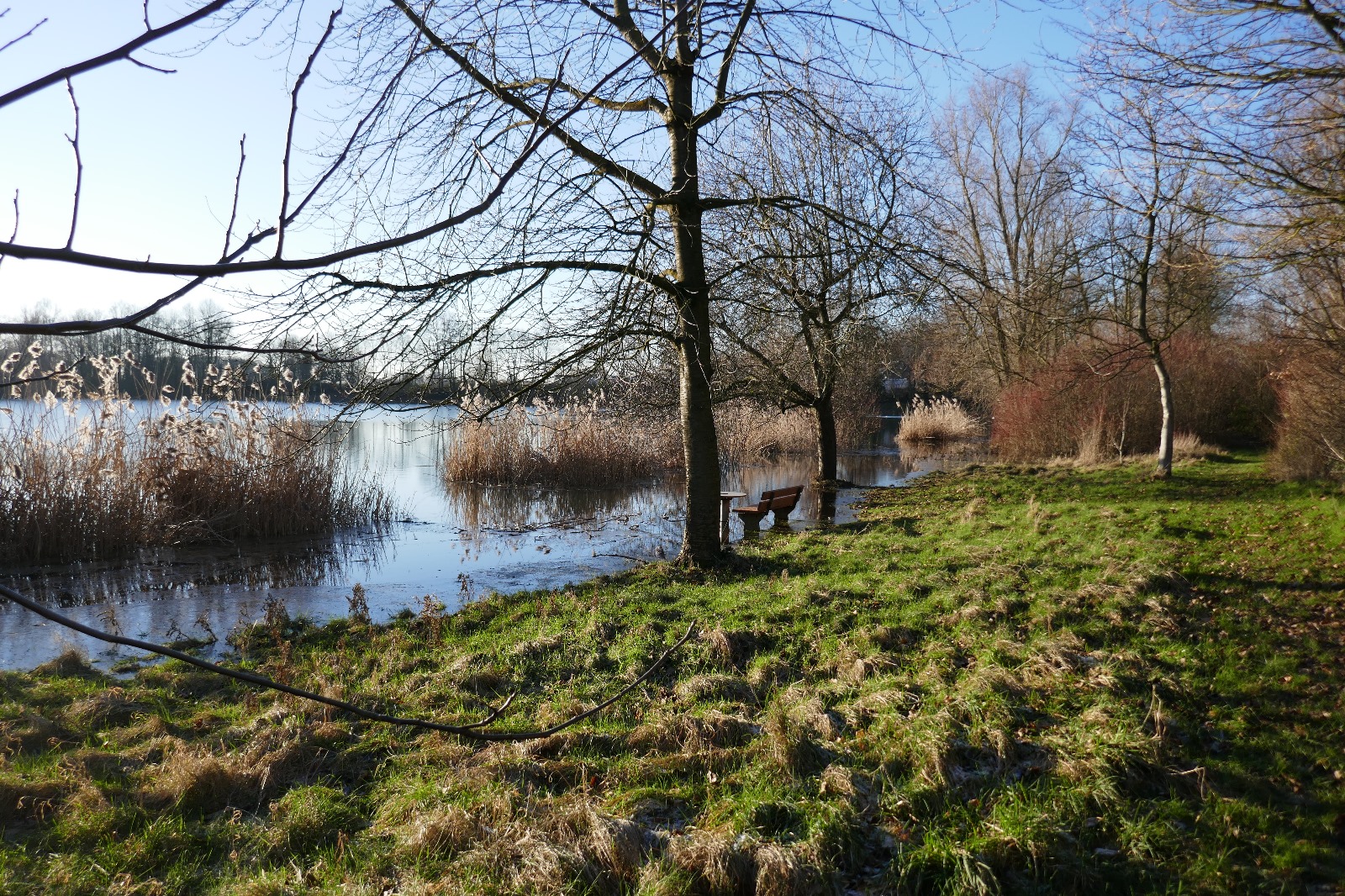 placeholder image-sq