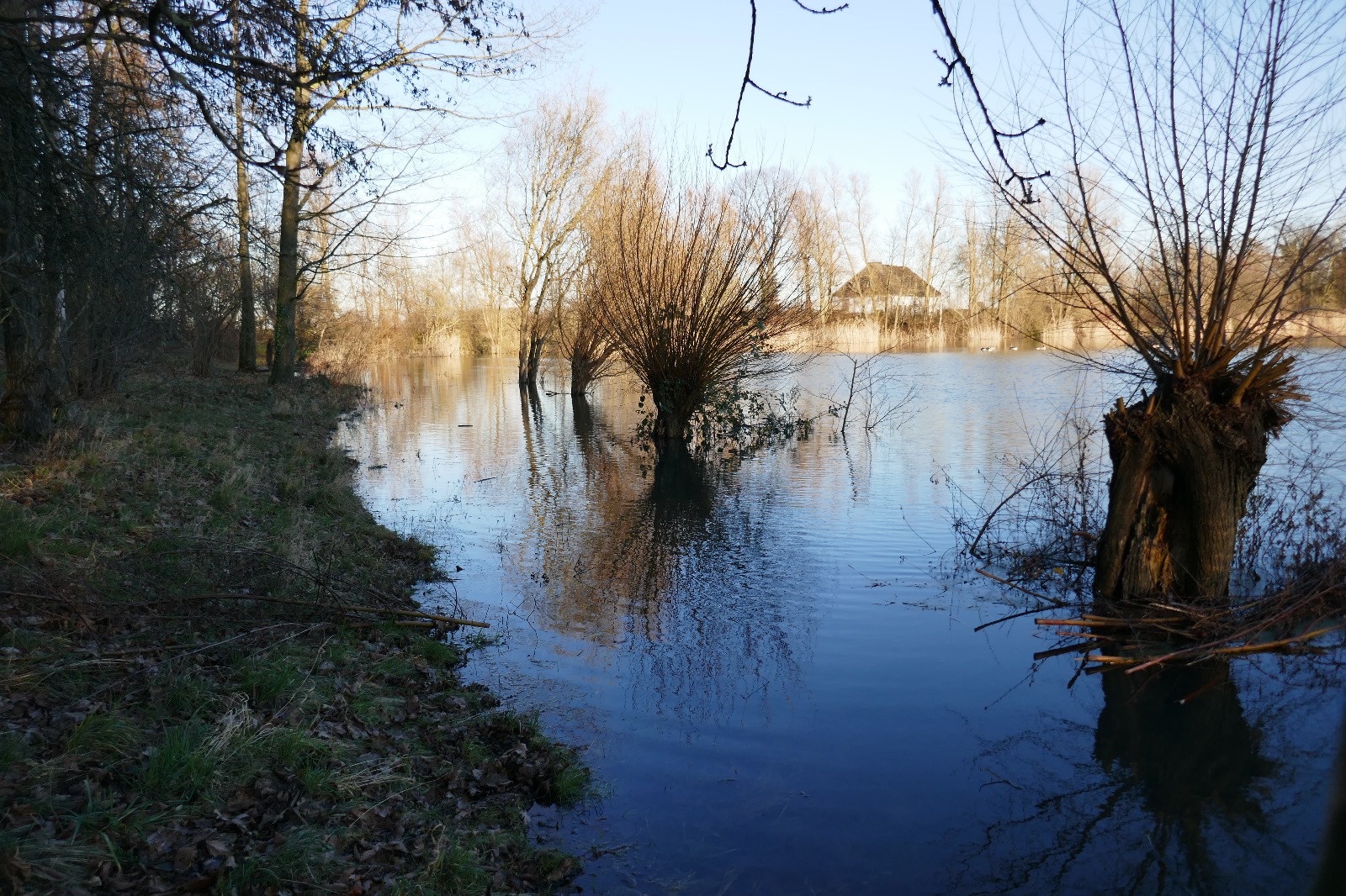 placeholder image-sq