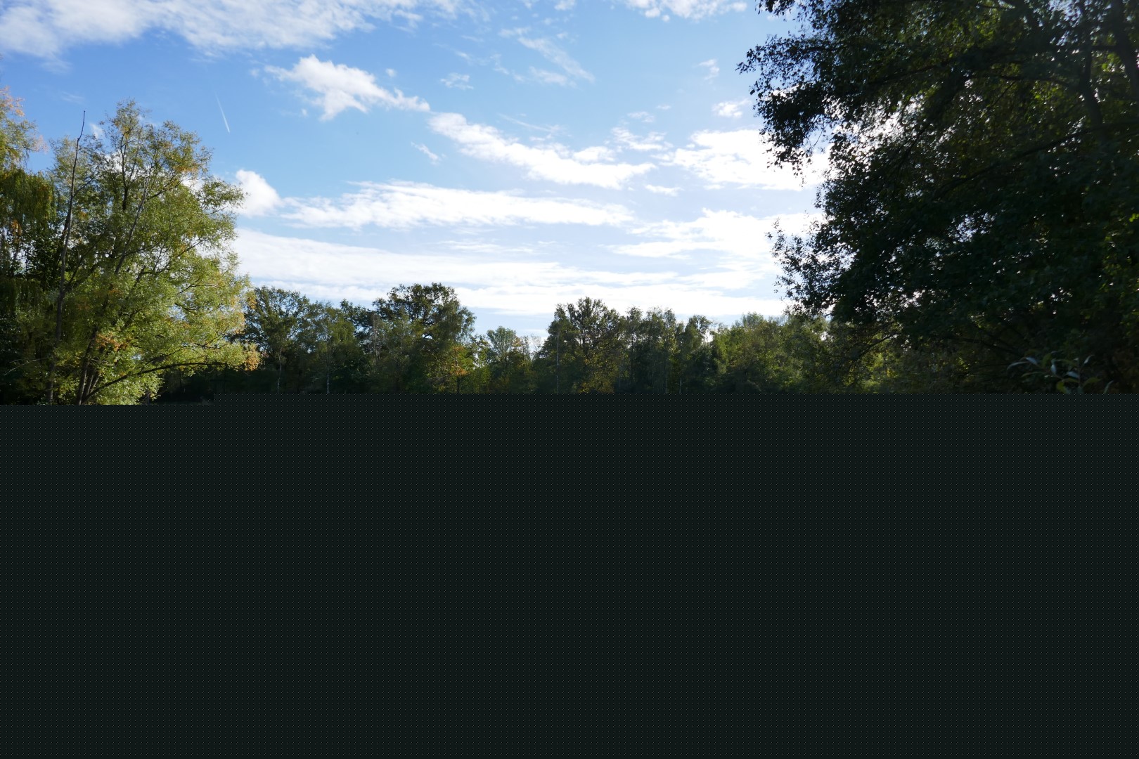 placeholder image-sq