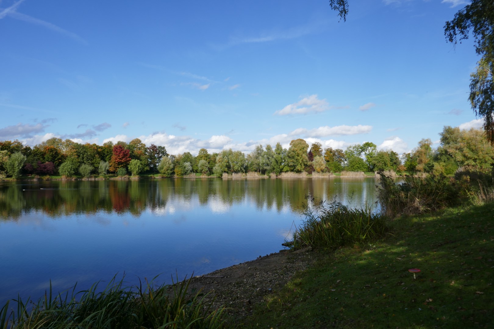 placeholder image-sq