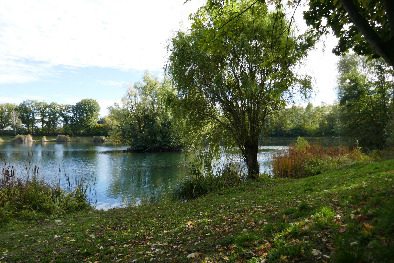 placeholder image-sq